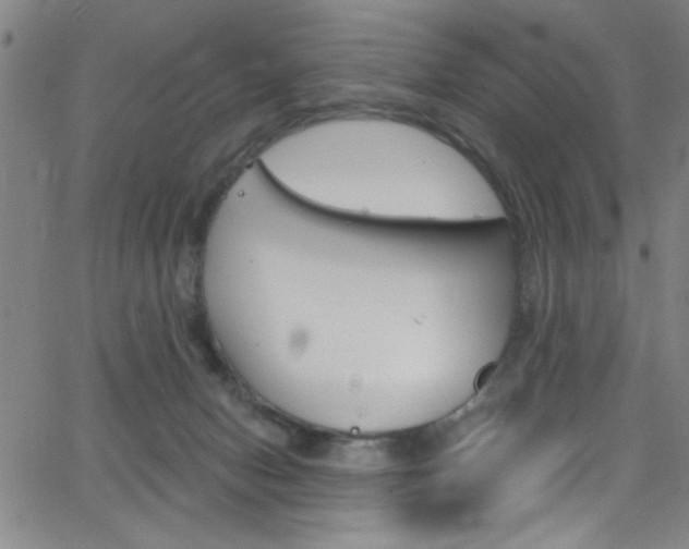 X0000068770078200604281028