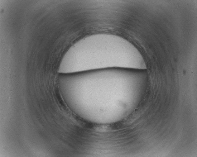 X0000068770079200604281028