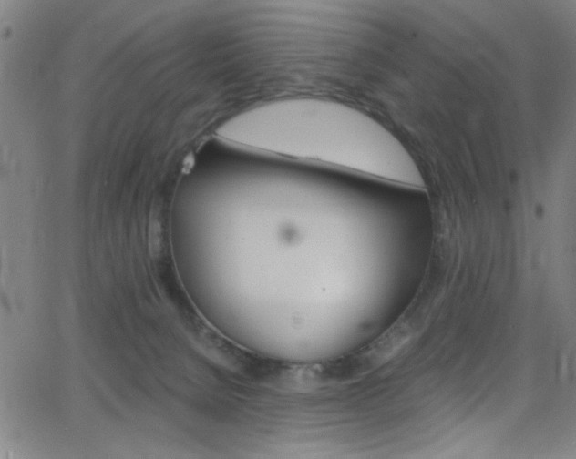 X0000068770080200604281029