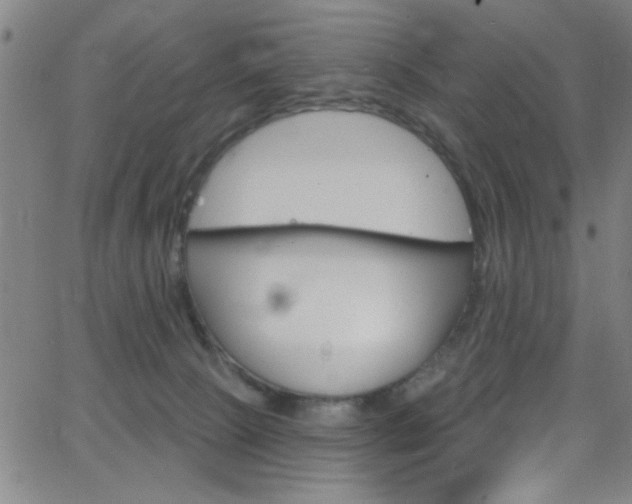 X0000068770081200604281029