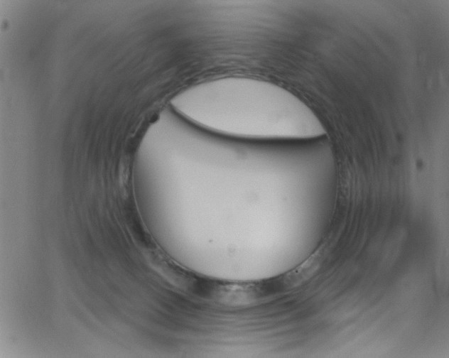 X0000068770082200604281029