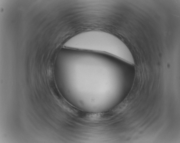 X0000068770084200604281029