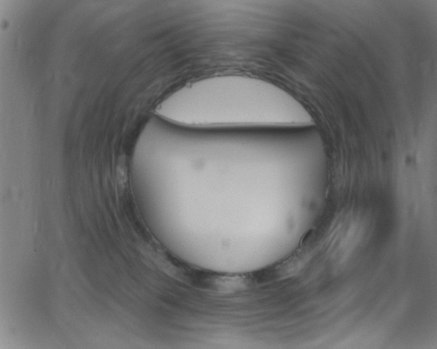 X0000068770085200604281029