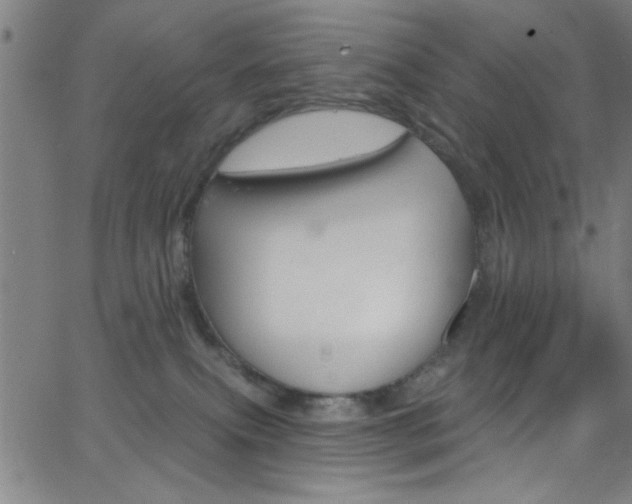 X0000068770087200604281029