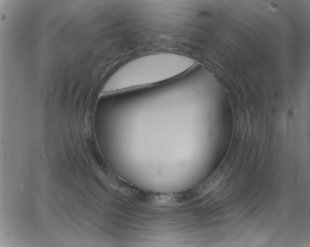 X0000068770088200604281029