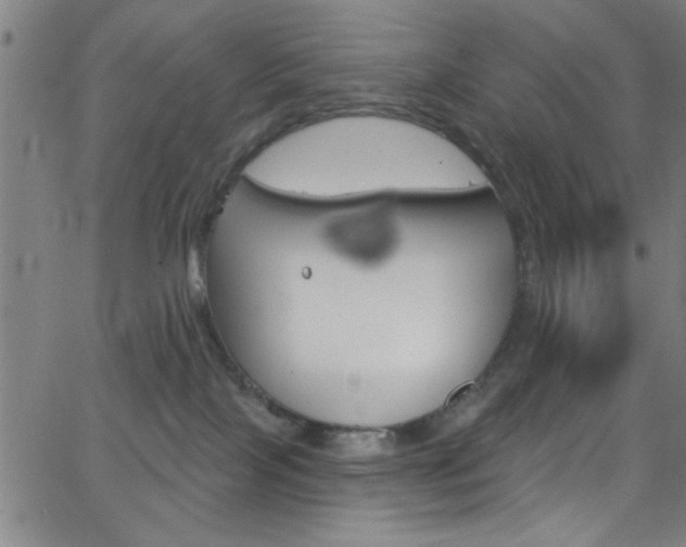 X0000068770089200604281029