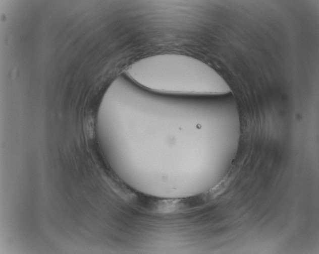 X0000068770090200604281029