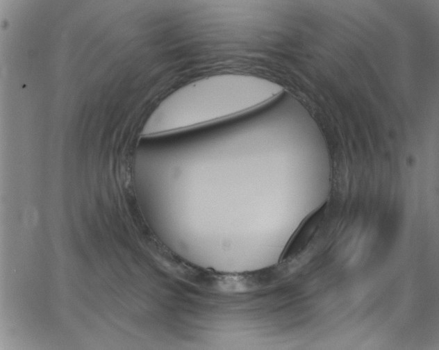 X0000068770091200604281029