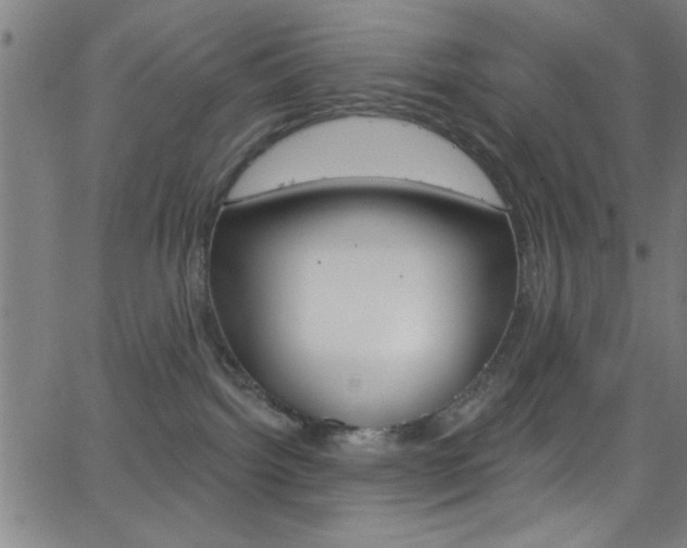 X0000068770092200604281029