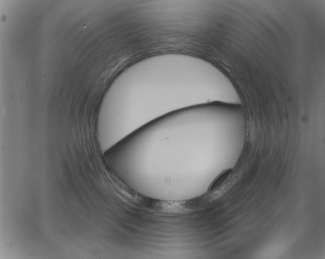 X0000068770093200604281029