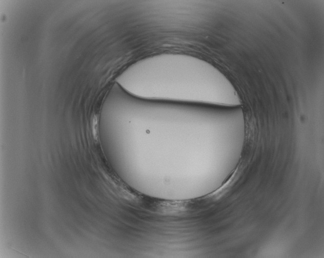 X0000068770094200604281029