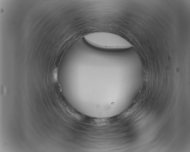 X0000068770095200604281029