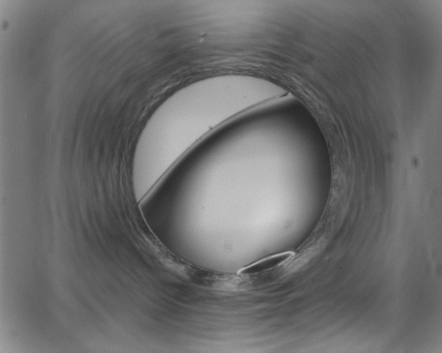 X0000068770096200604281029