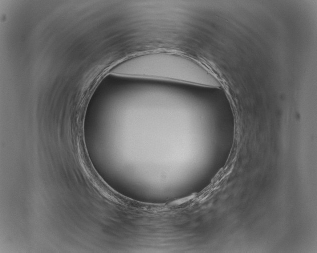 X0000068770097200604281028