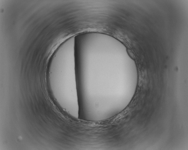 X0000068770098200604281028