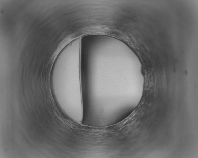 X0000068770099200604281028