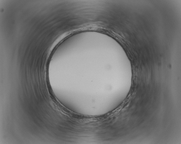 X0000068770100200604281028