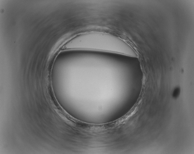 X0000068770101200604281028