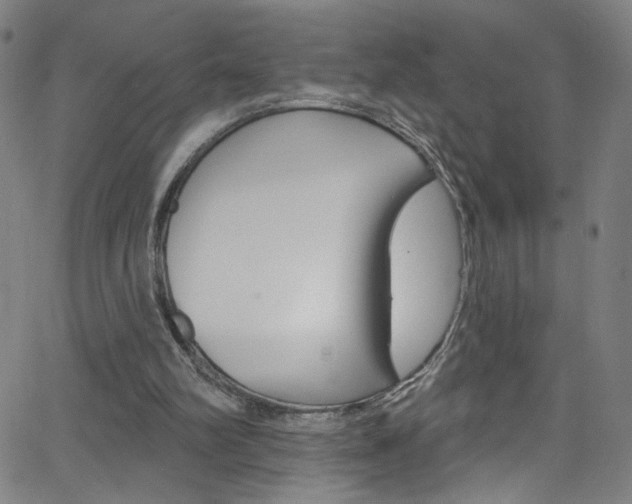 X0000068770102200604281028