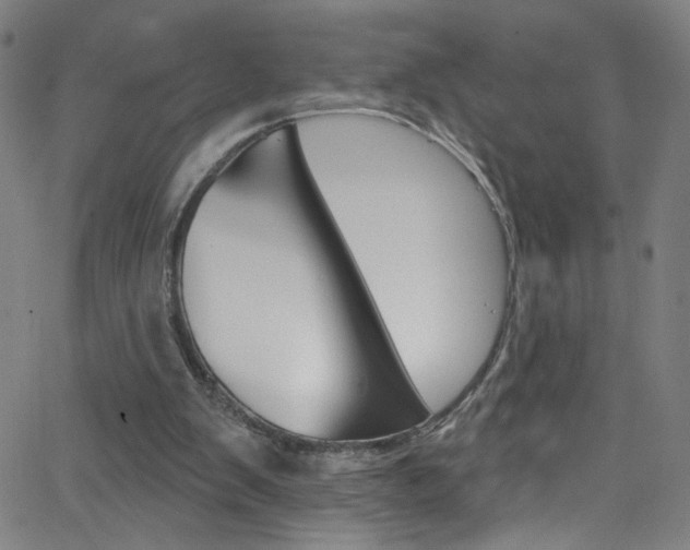 X0000068770103200604281028