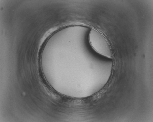 X0000068770104200604281028