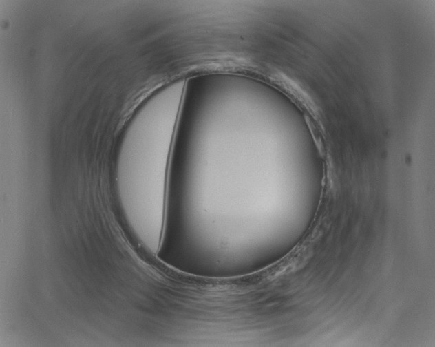 X0000068770105200604281028