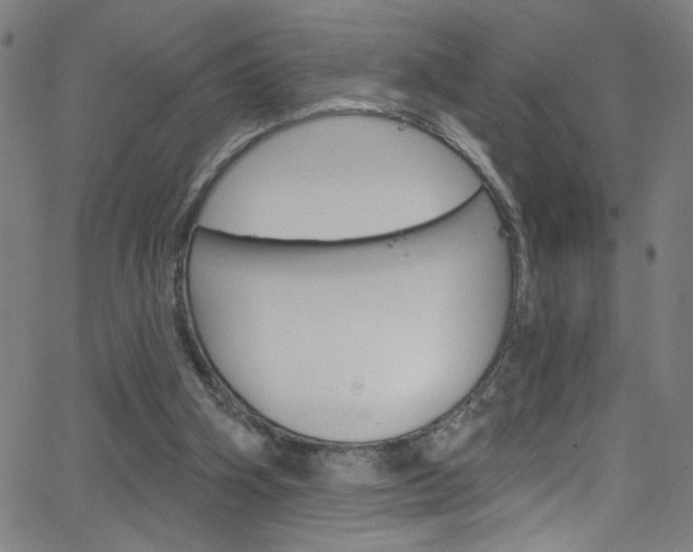 X0000068770106200604281028