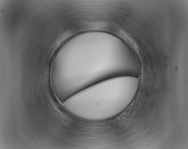 X0000068770107200604281028