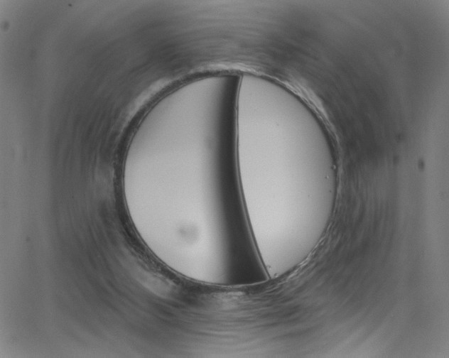 X0000068770108200604281028