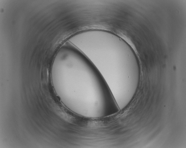 X0000068770109200604281028