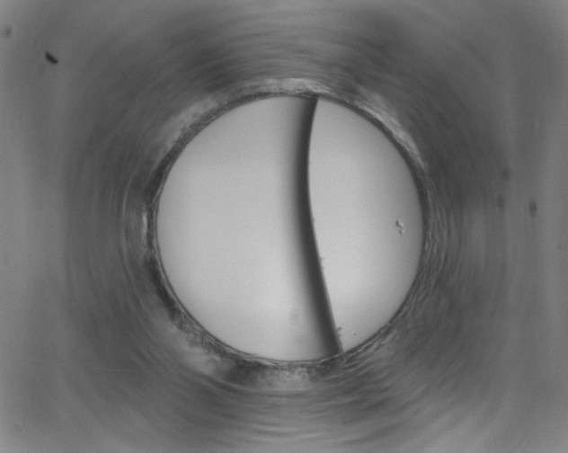 X0000068770110200604281028