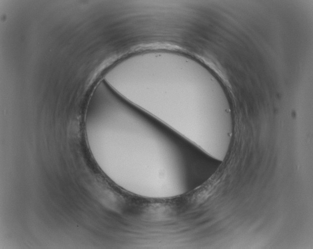 X0000068770111200604281028