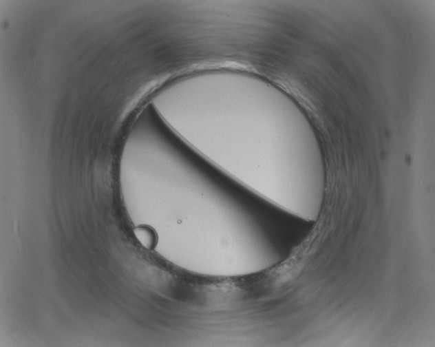 X0000068770112200604281028