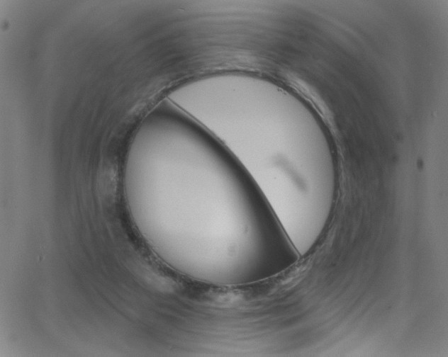 X0000068770113200604281028