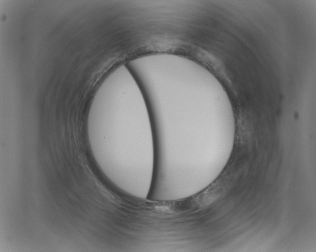 X0000068770114200604281028