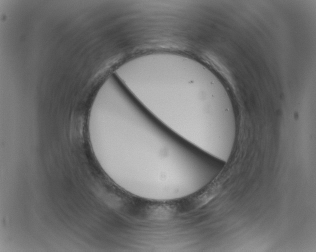 X0000068770115200604281028