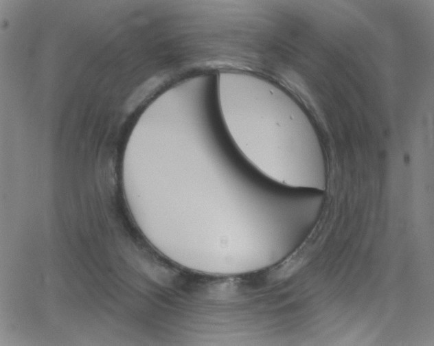 X0000068770116200604281028