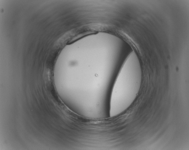 X0000068770117200604281028