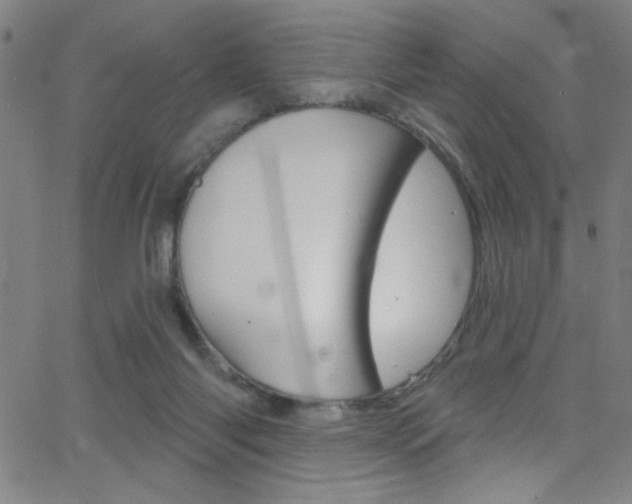 X0000068770118200604281028