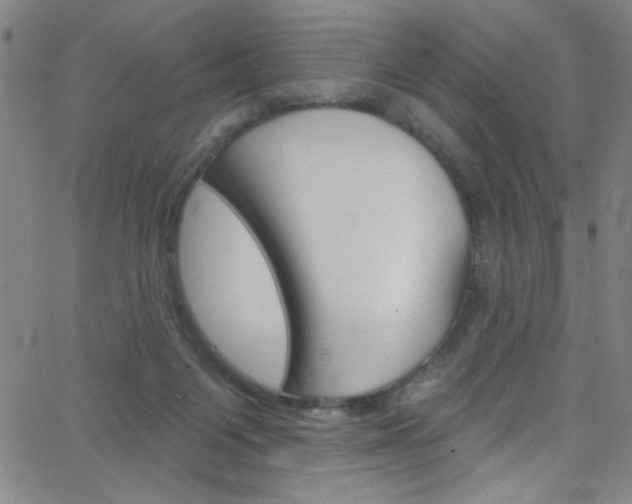 X0000068770119200604281028