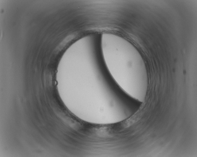 X0000068770120200604281028