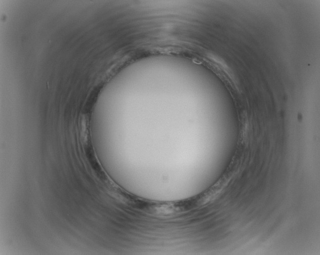 X0000068770121200604281028