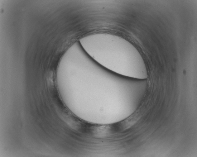 X0000068770122200604281028