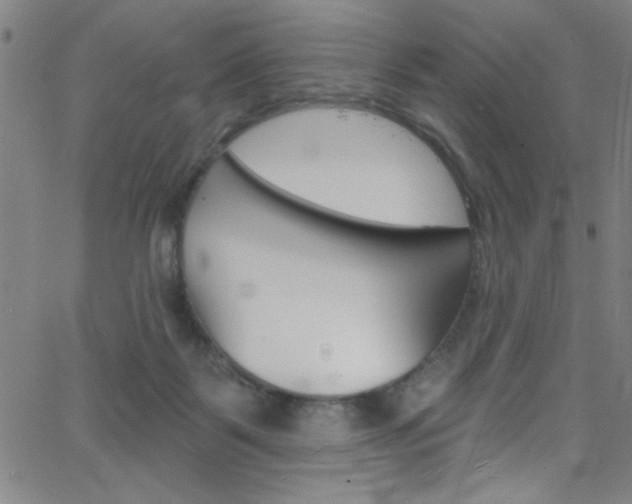 X0000068770123200604281028