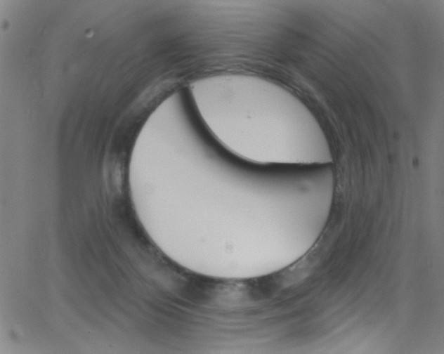 X0000068770124200604281027