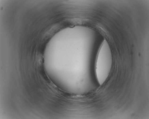 X0000068770125200604281027