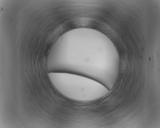 X0000068770126200604281027