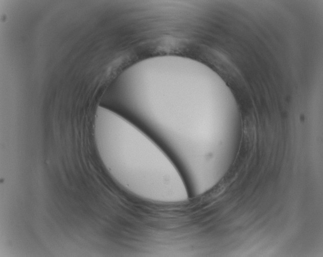 X0000068770127200604281027