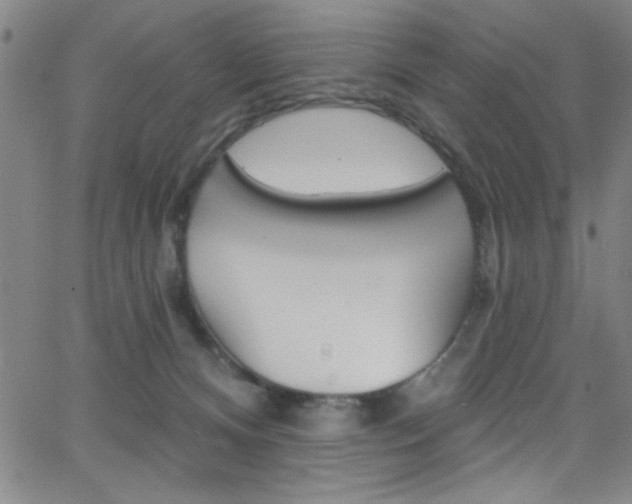 X0000068770128200604281027