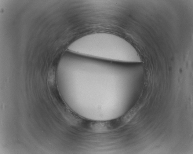 X0000068770129200604281027